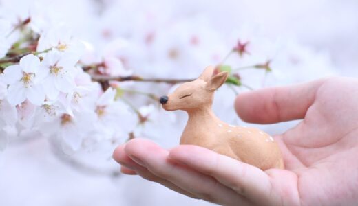 いきもの作家・菅原尚己はどんな事をしているの？