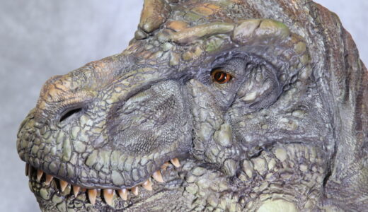 【プロトレックス】ワンダーフェスティバル2025夏 / 塗装見本のご依頼【オリジナル恐竜】